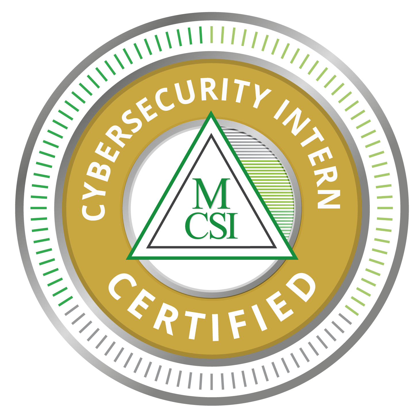 MCSI Remote Cybersecurity Intern