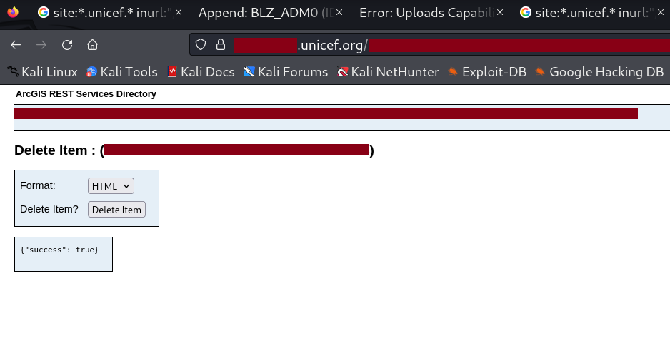UNICEF ArcGIS Delete Item