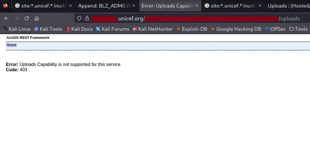 ArcGIS Cannot Upload