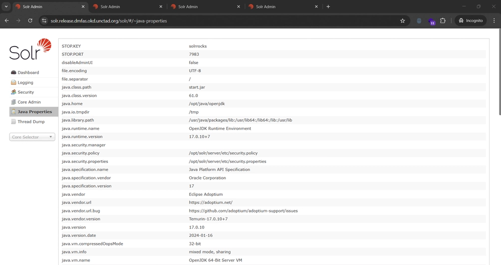 Apache Solr Java Properties